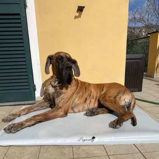 O - Cuscino Multifunzionale XXL